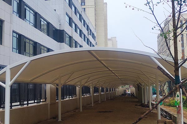 ?？谀そY(jié)構(gòu)與其他地區(qū)相比有哪些不同